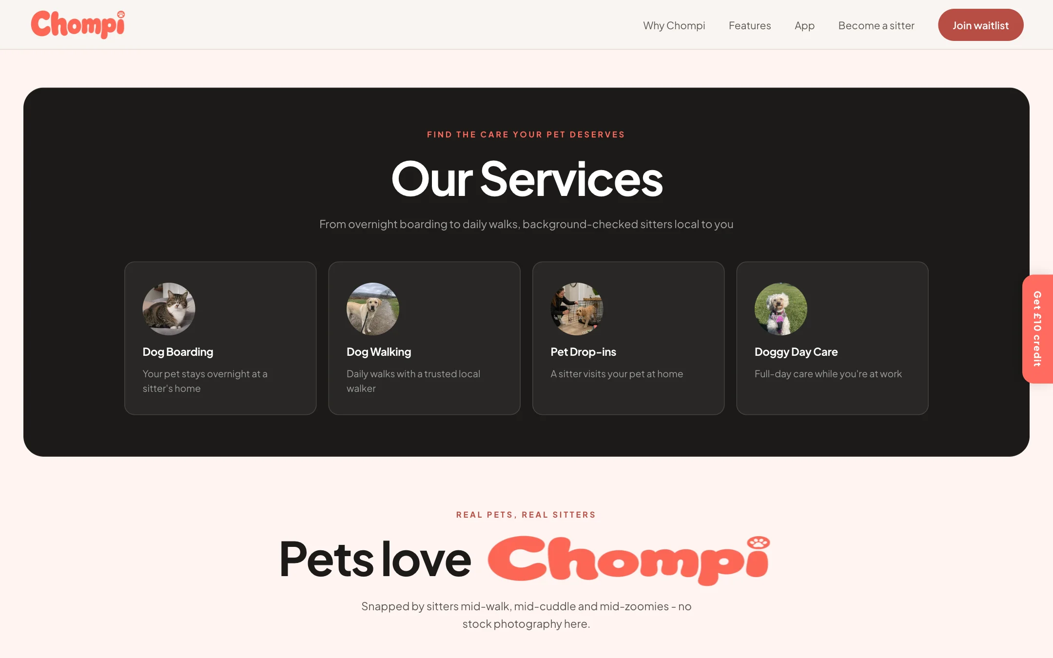 The services: dog boarding, dog walking, pet drop-ins and doggy day care